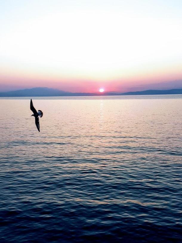 Haus Elena Aparthotel Kavala Bagian luar foto